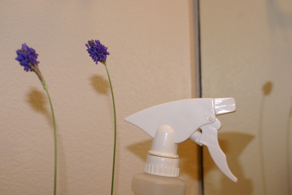 Alcohol Vinegar Tea Tree & Lavender Spray Alcohol Vinegar Tea Tree & Lavender Spray