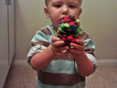 pompom-pinecone