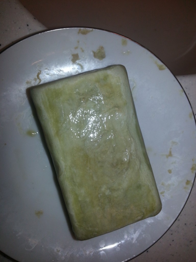 Goopy soap, nasty soap dish. Goopy soap, nasty soap dish.