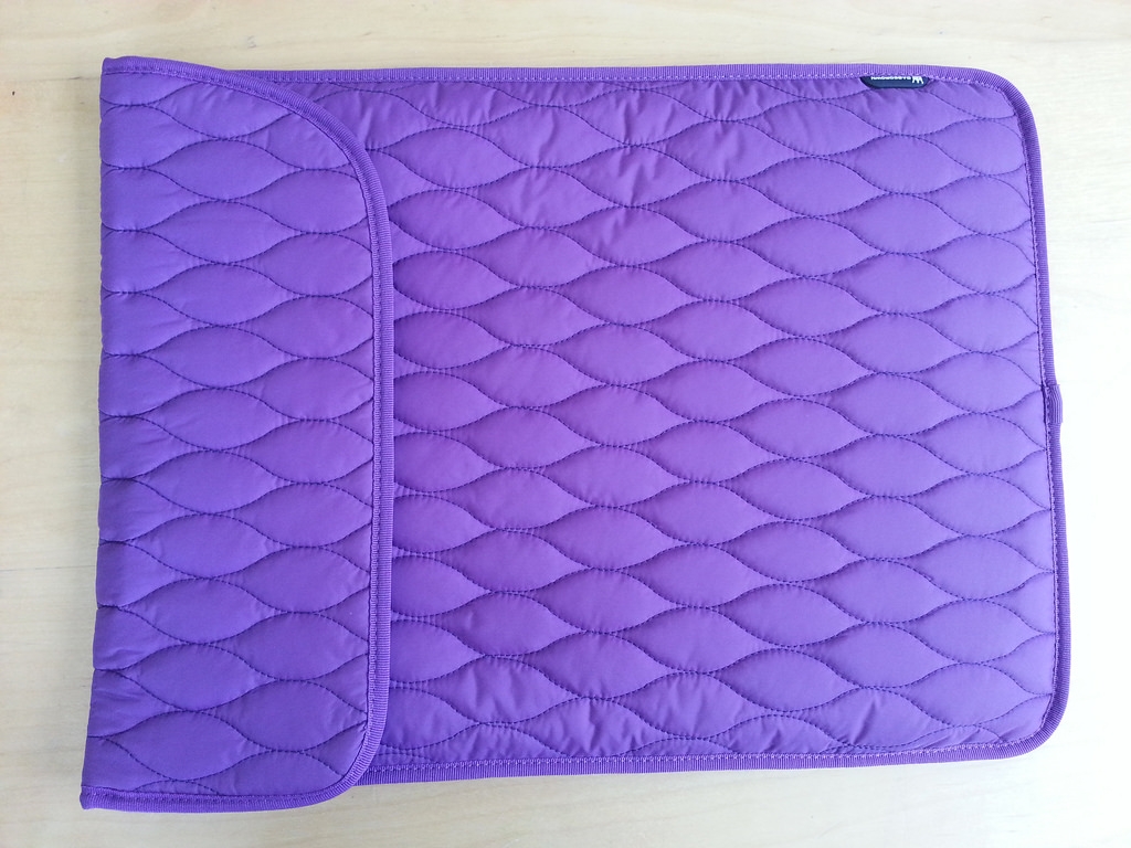 Just a plain old laptop sleeve.