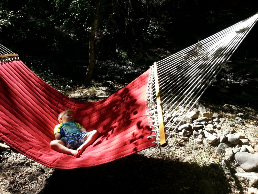 Arlo napping in the hammock by the creek :)