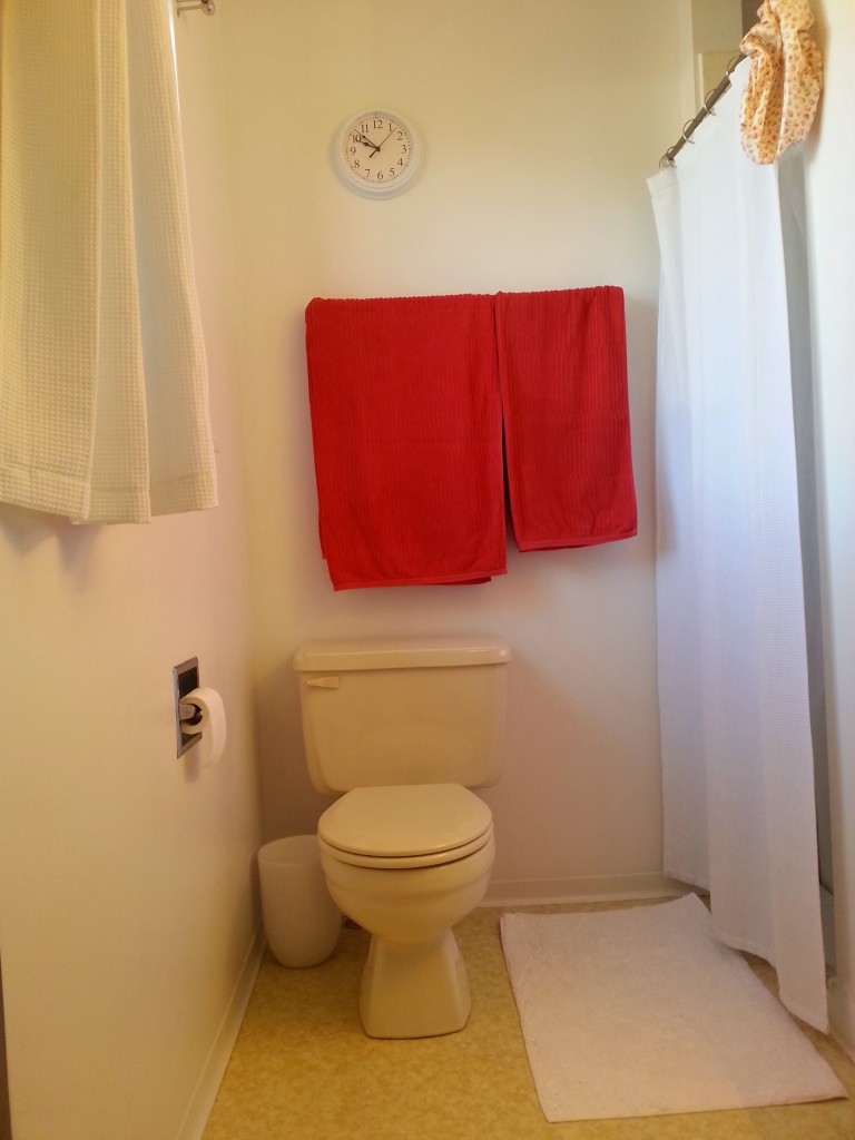 AFTER: Clean paint plus matching shower and window curtains - it's the little things...