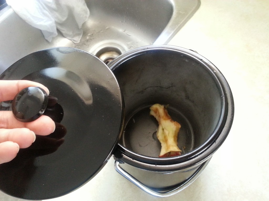 Our sleek new food scrap container.