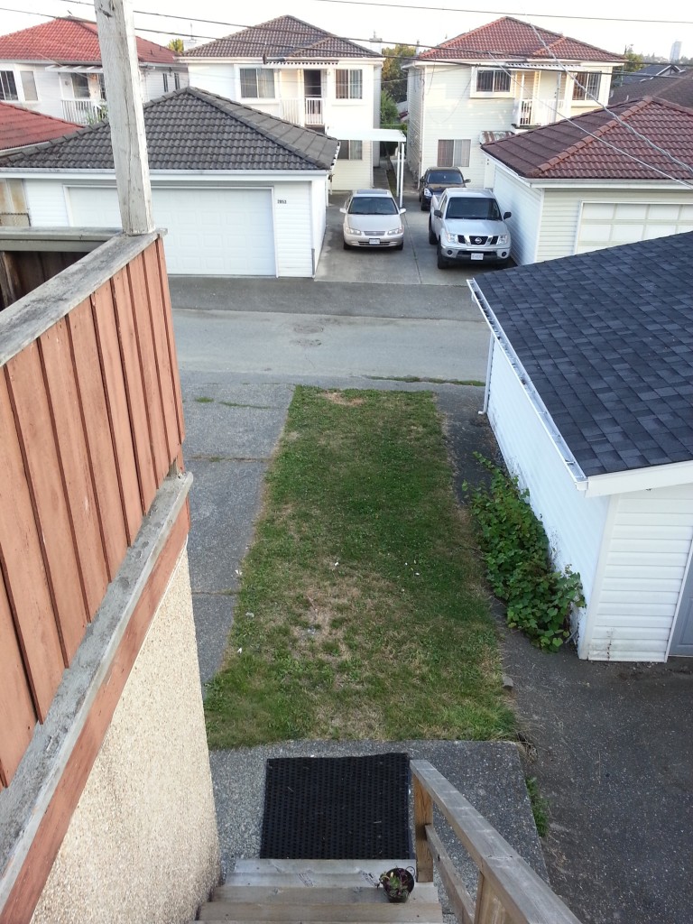 vs-before-backyard