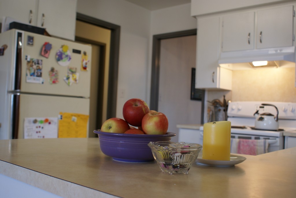 A lived in yet clean kitchen.