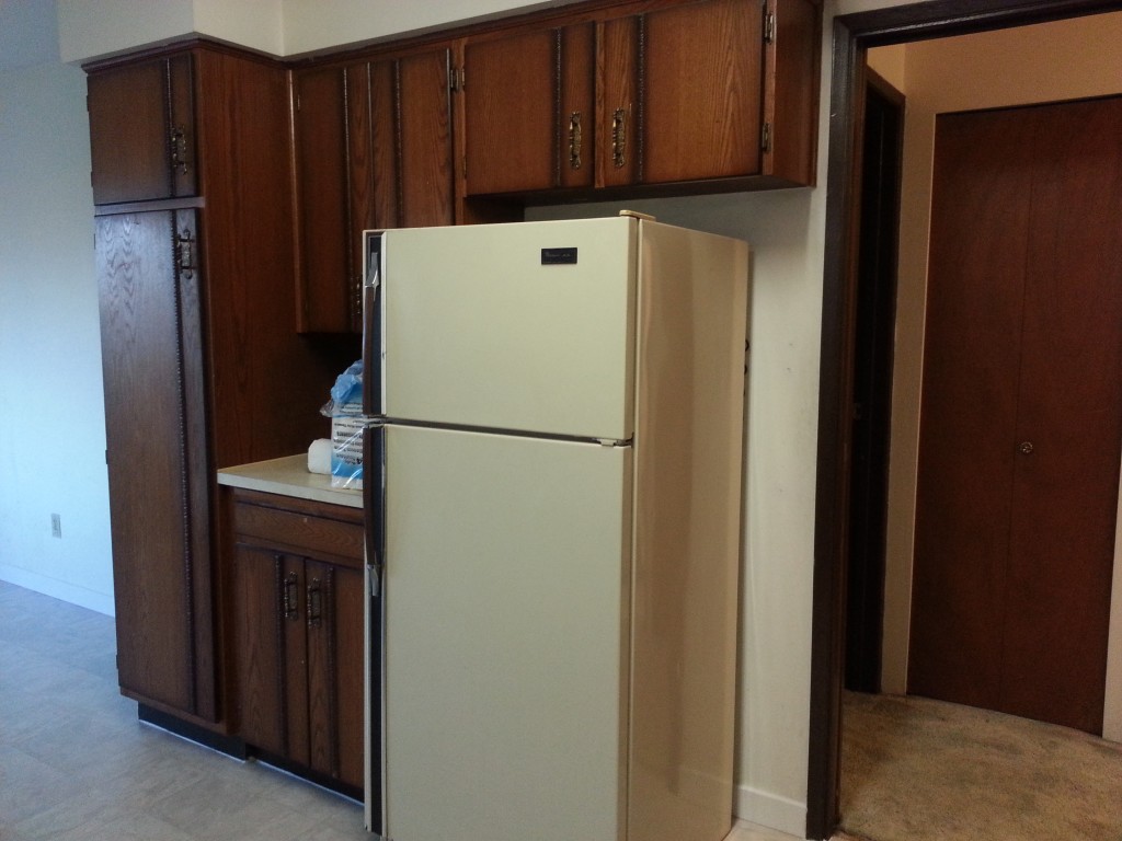 BEFORE: More gross cabinets and gross fridge.